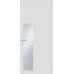 PAINEL LR21I